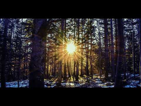 The National - About Today (Extended Version)