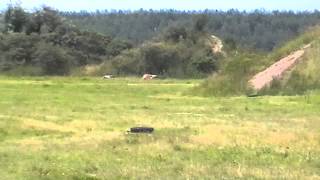 em coursing 2013