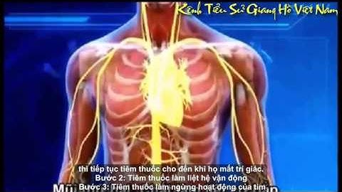 Clip hay  Nguyễn Hải Dương có bị tử hình bằng tiêm thuốc độc giống vậy không     2016