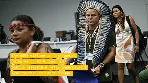 Cop30: $300m Pledged To Combat Deadly Global Heat