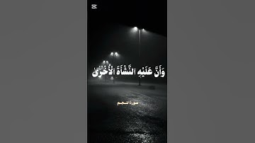 سورة النجم - تلاوة هادئة 😌 - القرآن الكريم 🤍
