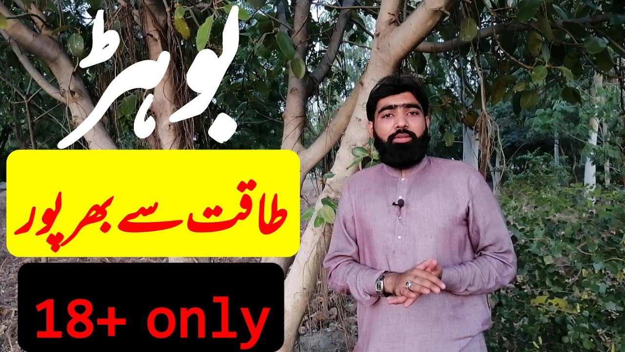 بوہڑ کے مردوں کے لئے کرشماتی فوائد | bohar ke fawaid | introduction of herns in urdu | sajid farooqi