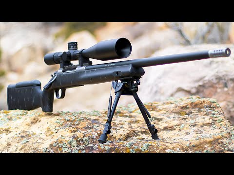 Guns That Will Give You INSTANT PRECISION