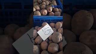 Актуальні ціни на ринку у Тернополі 15 січня