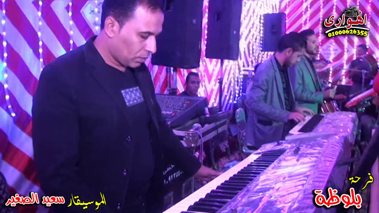 جانا الهوا الموسيقار سعيد الصغير من فرحة بلوظة بكفر الشاويش تصوير الهوارى