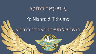 Yā Nishrā d-Tkhūme ( The Eagle of Tkhuma הנשר של תחומא) יָא נִישְׁרָא דִתְחוּמֵא