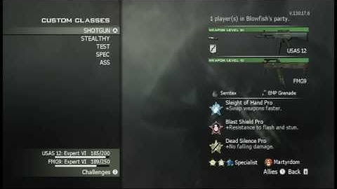 MW3 Wii: My Load outs, Titles, Emblems & Stats