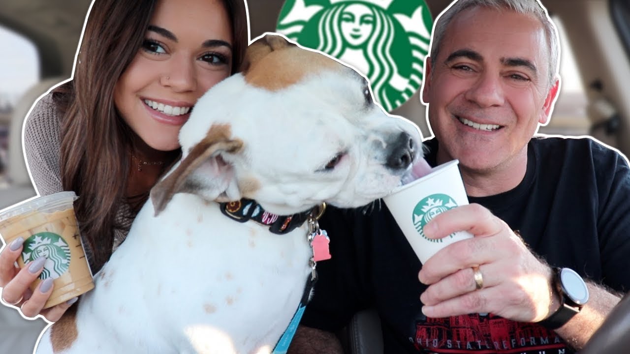 Bulldog Gets Starbucks! ft Steph Pappas