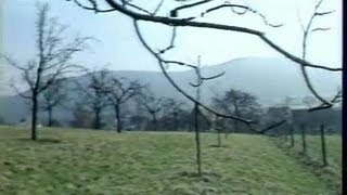 Réactions Projet Lang : Langues Régionales