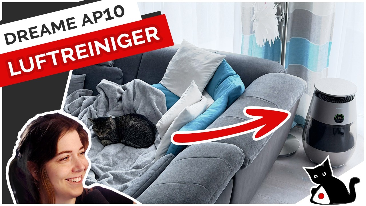 Dreame AP10 ‌Haustier-Luftreiniger im Test