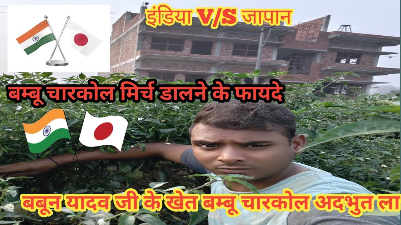 जापान 🇯🇵🇯🇵 V/S🇮🇳🇮🇳 इंडिया के #सहयोग से बम्बू #चारकोल #अदभुत लाभ आदर्श सोन,कर #
