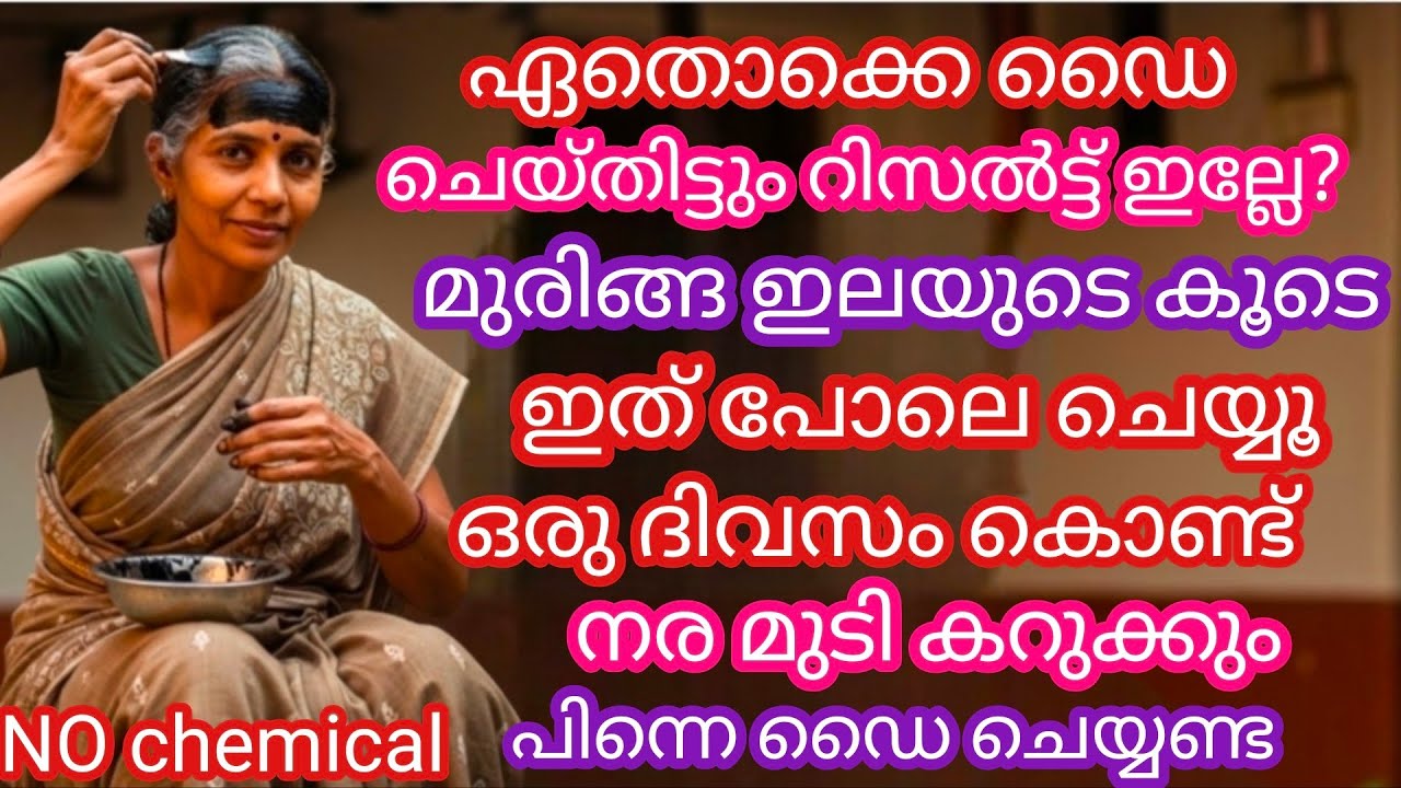 ഈ ഹെയർ ഡൈ ഒറ്റ തവണ ചെയ്യ് നരയില്ലാതെ മുടി കറുക്കും#Hair dye malayalam #Hair