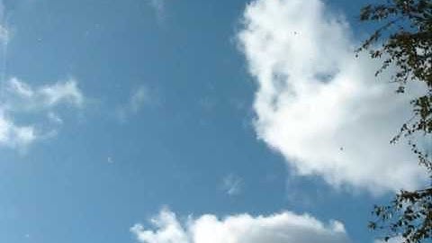 Neun Welten - Nebelland