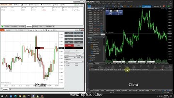 Trade Copier - NinjaTrader to MetaTrader