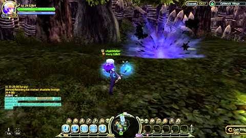 Force User Mod .. Dragon Nest SEA