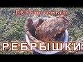 Варено копченые ребрышки. Настоящий рецепт.