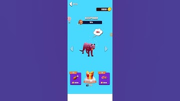 animal transform race