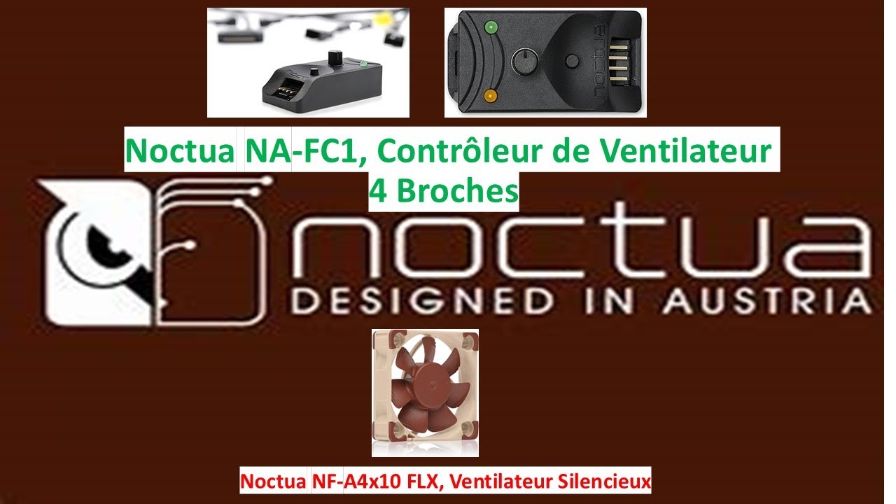 Noctua NF-A4x10 PWM Ventilateur Silencieux Haut De Gamme 40x10mm 4 Broches - Marron