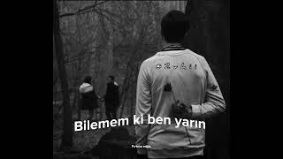 Dedublüman-slower+reverb+lyrics(Sözleri)      ÇALINTI DEĞİLDİR Resimi