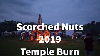Temple Burn Scorched Nuts 2019