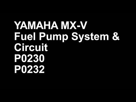 Fuel Pump System