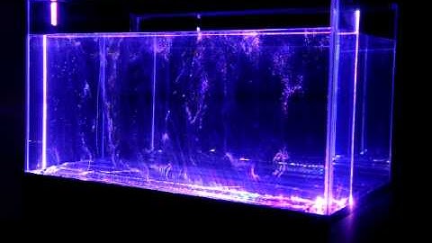 Hydrogeny (2011) By Evelina Domnitch & Dmitry Gelfand @ STRP