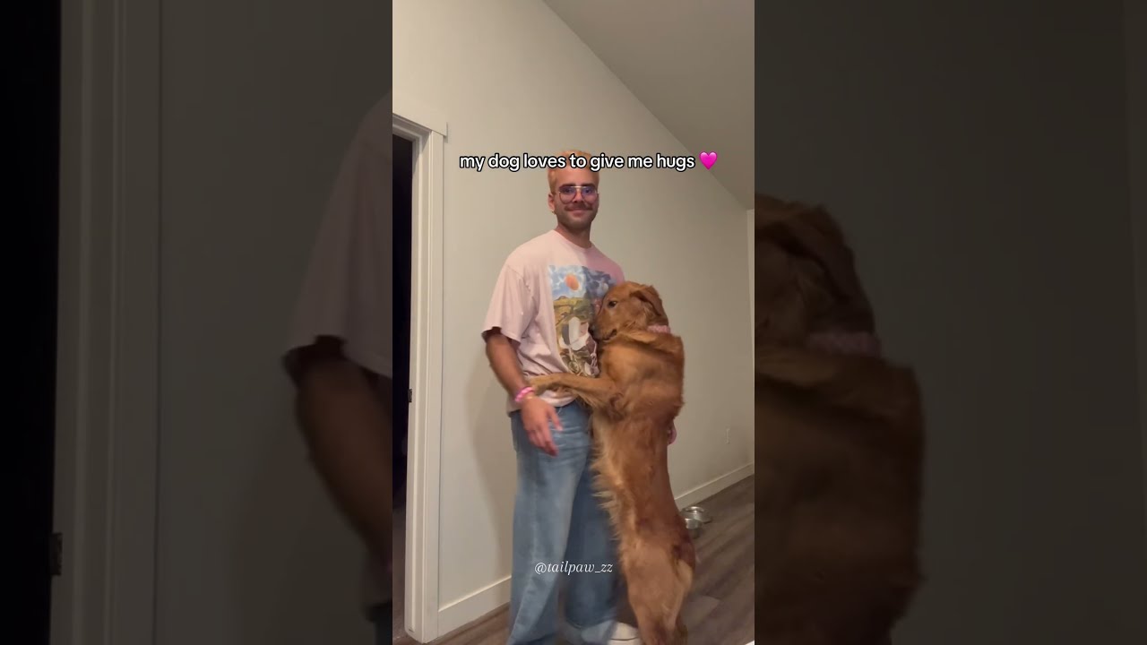 Your Dog Is Waiting For The Moment To Meet You Dogtime Doglove Doglife Fyp Foryou