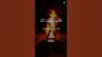 تلاوة خاشعة _قرآن كريم                   #قرآن #راحة_نفسية #لايك #اكسبلور