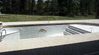 5035 FAWN LAKE BLVD , MIMS, FL 32754 5035 FAWN LAKE BLVD , MIMS, FL 32754
