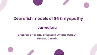 Zebrafish Models Of Gne Myopathy Jarred Lau