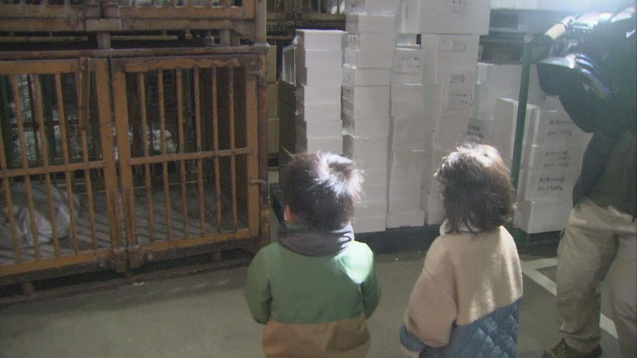 マイナス40度の巨大冷凍庫にビックリ！ 園児が水産加工会社で職業 