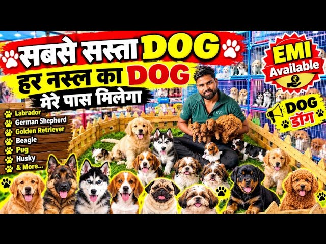 Latest Title & Thumbnail
