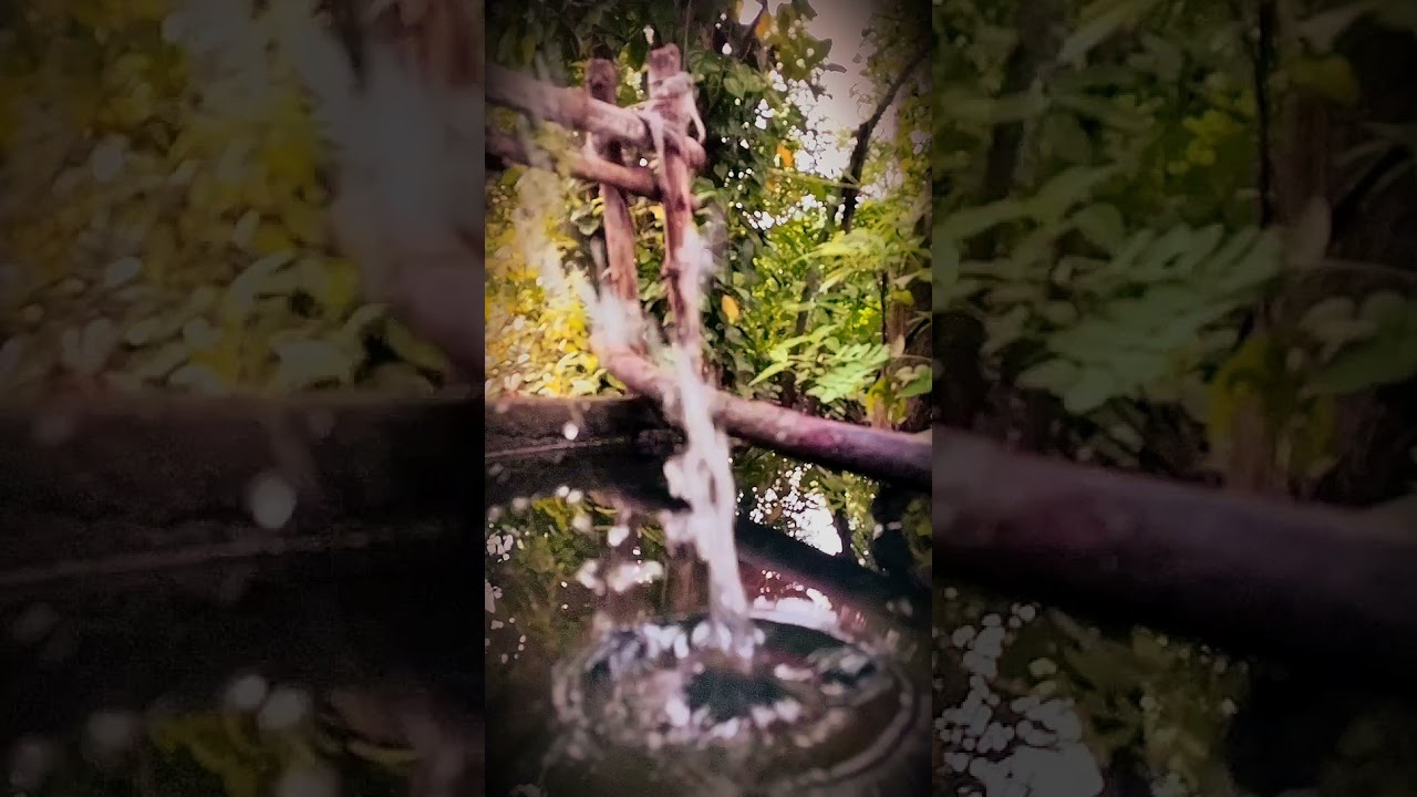 Slowmotion Is Everything Looking Fine 