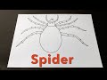 Learn to draw a Spider. Drawings for Kids Step by Step 🎨✍️🕷🕷🕷