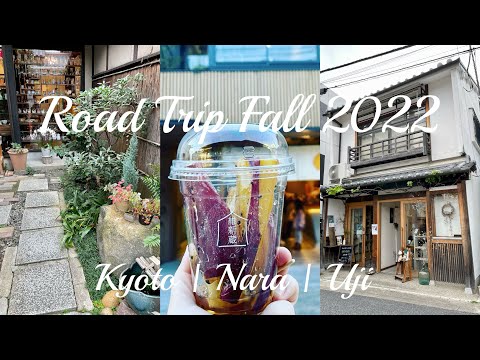 京都奈良宇治 Day 2｜親子自駕遊紅葉2022｜ 6 Days Road Trip in Kyoto Nara Uji Autumn 2022 🍁🦌