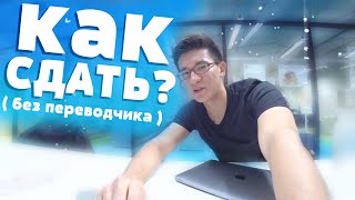 - Сдавать нострификацию САМОМУ или С переводчиком?  | Нострификация в Чехии!