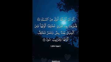 سورة فاطر #قران_كريم #احمد_النفيس #المسبحة_اونلاين
