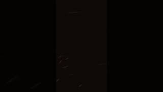 majboor🫶👀 #youtubeshorts #love #lucknow #song #unfrezzmyaccount #youtubecreator #muskangupta #vibes