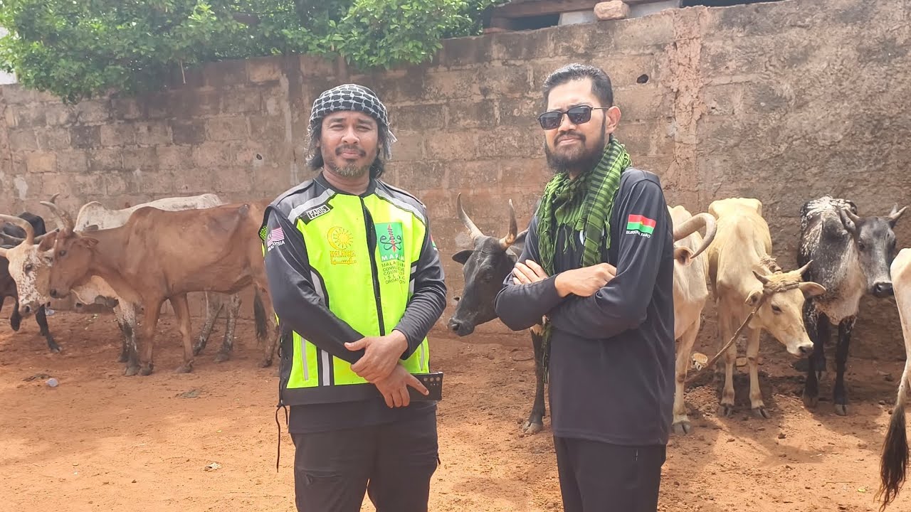 Qurban dan agihan hari pertama di Secteur 24, Bobo-Dioulasso