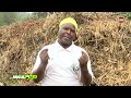 Mkulima I Jinsi Ya Kutengeza Mbolea Asili Kutoka Kwa Mali Ghafi Mkulima I Jinsi Ya Kutengeza Mbolea Asili Kutoka Kwa Mali Ghafi