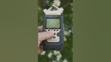 Do They Have Built In Memory? | Zoom H5 vs H4n Pro