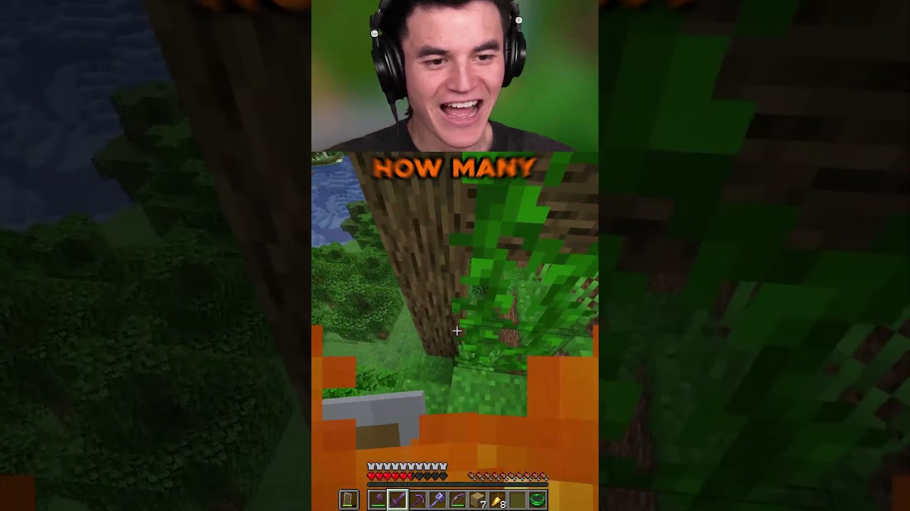 Minecraft Manhunt vs 2 Hunters is TOO EASY