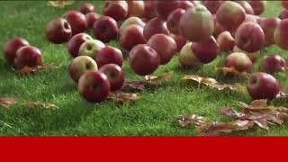 Polsat 2 Jesienią 2016