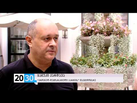 ინტერფრაქციული ჯგუფის სარჩელი /2030 (24.09.2015.)/