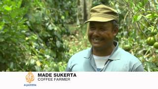 Trouble brews for Indonesian coffee farmers