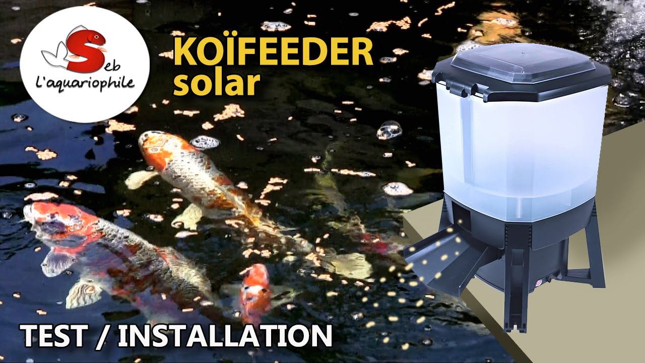 koi feeder solar ,test du distributeur de nourriture poisson de