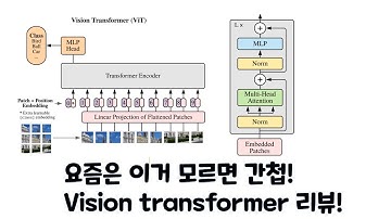 [내돈내산 논문리뷰] Vision transformer 파헤치기