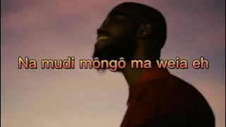 LUDOVIC - FAYA (feat NDABEZINHLE) (Lyrics Video)