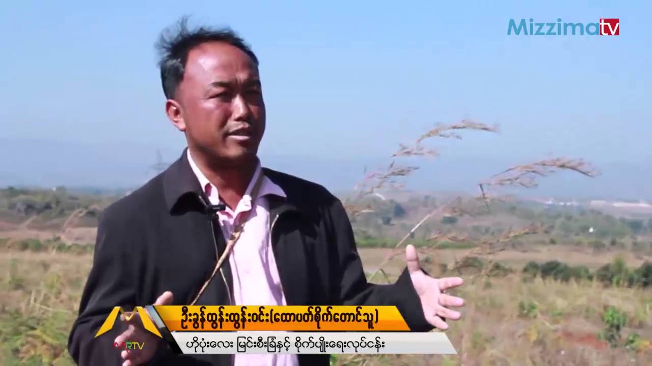 ေထာပတ္သီးစိုက္ပ်ိဳးျခင္း (Part_1)