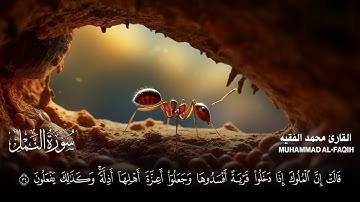 Muhammed el fakih maşallahسورة النمل كاملة (مكتوبة ) للقارئ الشيخ محمد الفقيه _ تلاوة خاشعة ومؤثرة